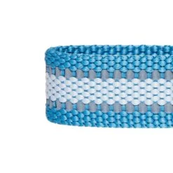 Back To Basics Reflective Dog Collar For Safety And Style 31 Back To Basics Reflective Dog Collar For Safety And Style -Dog & Cat Store 1340243047 5 d02d9fb3 7ab2 45e0 978c 73ef5966da17