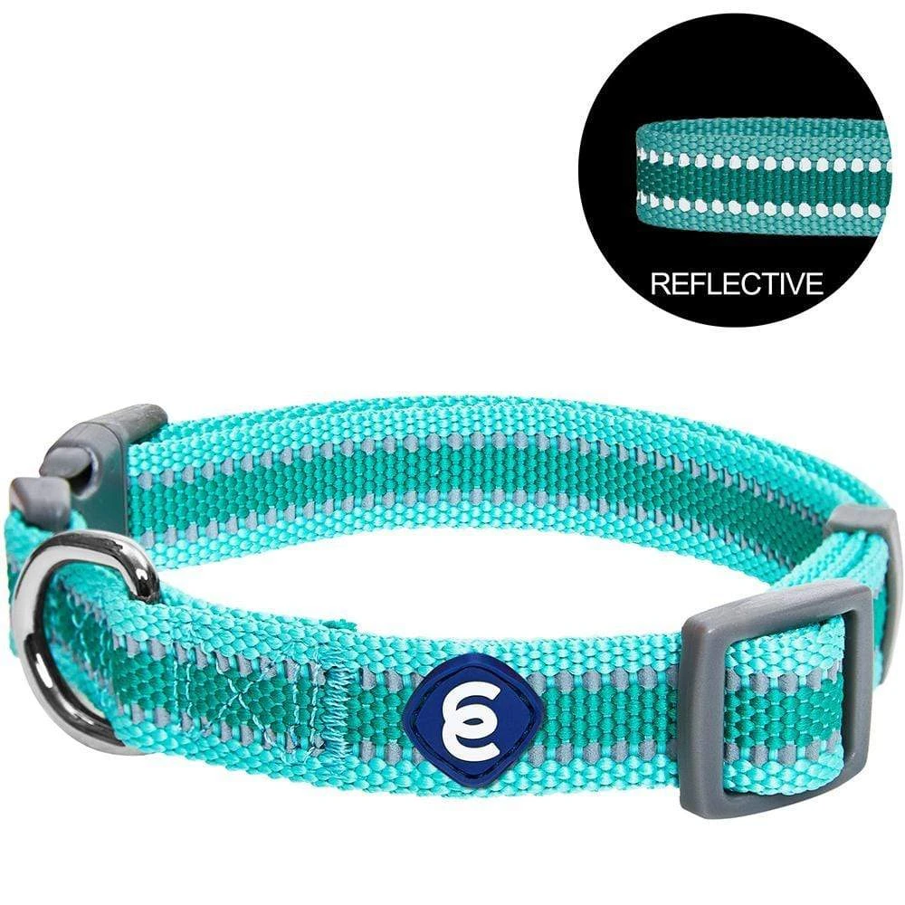 Back To Basics Reflective Dog Collar For Safety And Style 20 Back To Basics Reflective Dog Collar For Safety And Style - Image 20