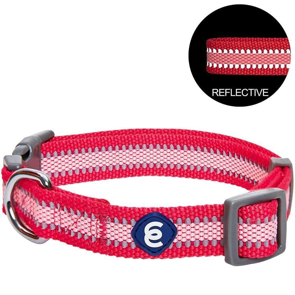 Back To Basics Reflective Dog Collar For Safety And Style 2 Back To Basics Reflective Dog Collar For Safety And Style - Image 2