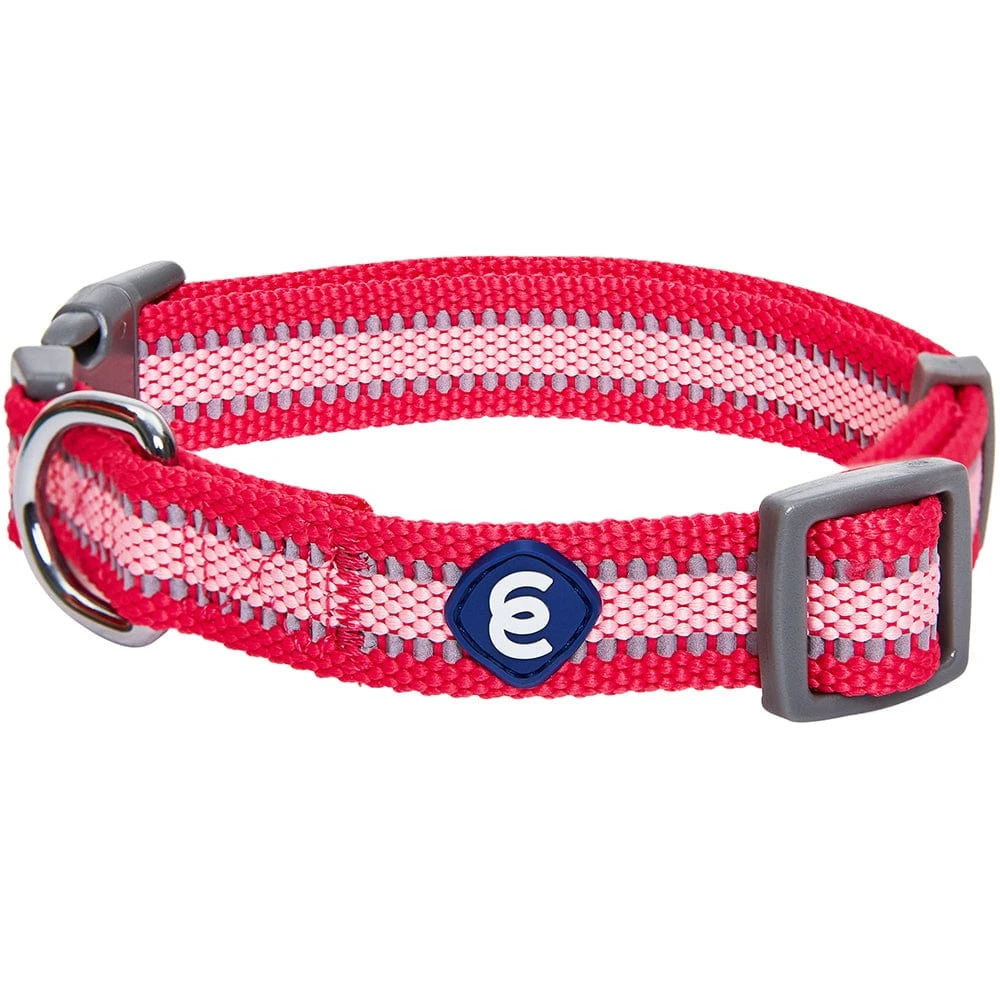 Back To Basics Reflective Dog Collar For Safety And Style 1 Back To Basics Reflective Dog Collar For Safety And Style