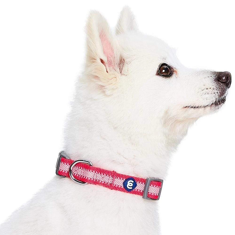 Back To Basics Reflective Dog Collar For Safety And Style 3 Back To Basics Reflective Dog Collar For Safety And Style - Image 3