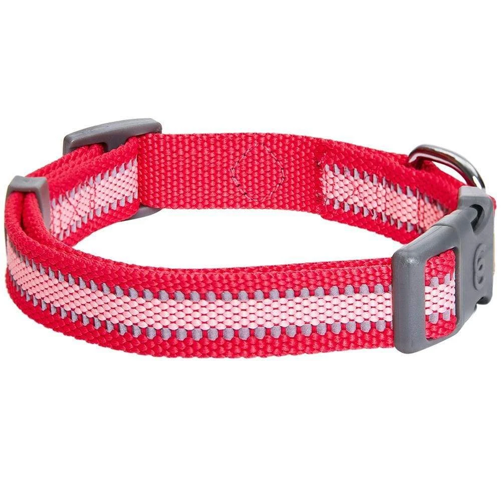 Back To Basics Reflective Dog Collar For Safety And Style 5 Back To Basics Reflective Dog Collar For Safety And Style - Image 5