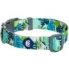 Summer Vacation Tropical Dog Collar Palm Leaves Hawaiian -Dog & Cat Store 1340251042 1