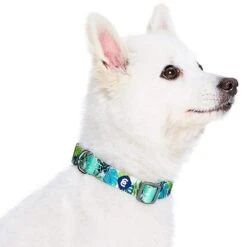 Summer Vacation Tropical Dog Collar Palm Leaves Hawaiian -Dog & Cat Store 1340251042 2