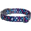Rainbow Polka Dots Dog Collar For Stylish Pups -Dog & Cat Store 1340252049 1
