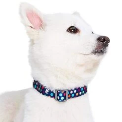 Rainbow Polka Dots Dog Collar For Stylish Pups 8 Rainbow Polka Dots Dog Collar For Stylish Pups -Dog & Cat Store 1340252049 2
