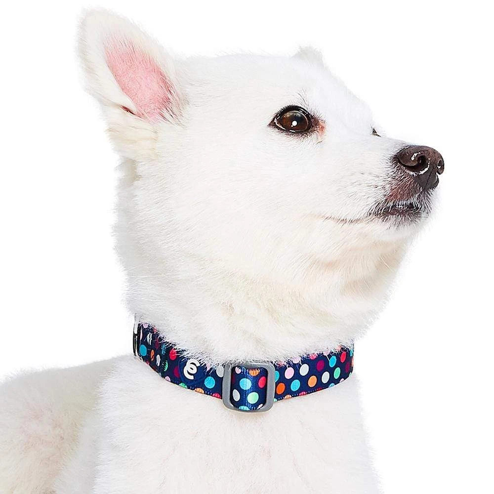 Rainbow Polka Dots Dog Collar For Stylish Pups 3 Rainbow Polka Dots Dog Collar For Stylish Pups - Image 3