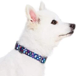 Rainbow Polka Dots Dog Collar For Stylish Pups 9 Rainbow Polka Dots Dog Collar For Stylish Pups -Dog & Cat Store 1340252049 3