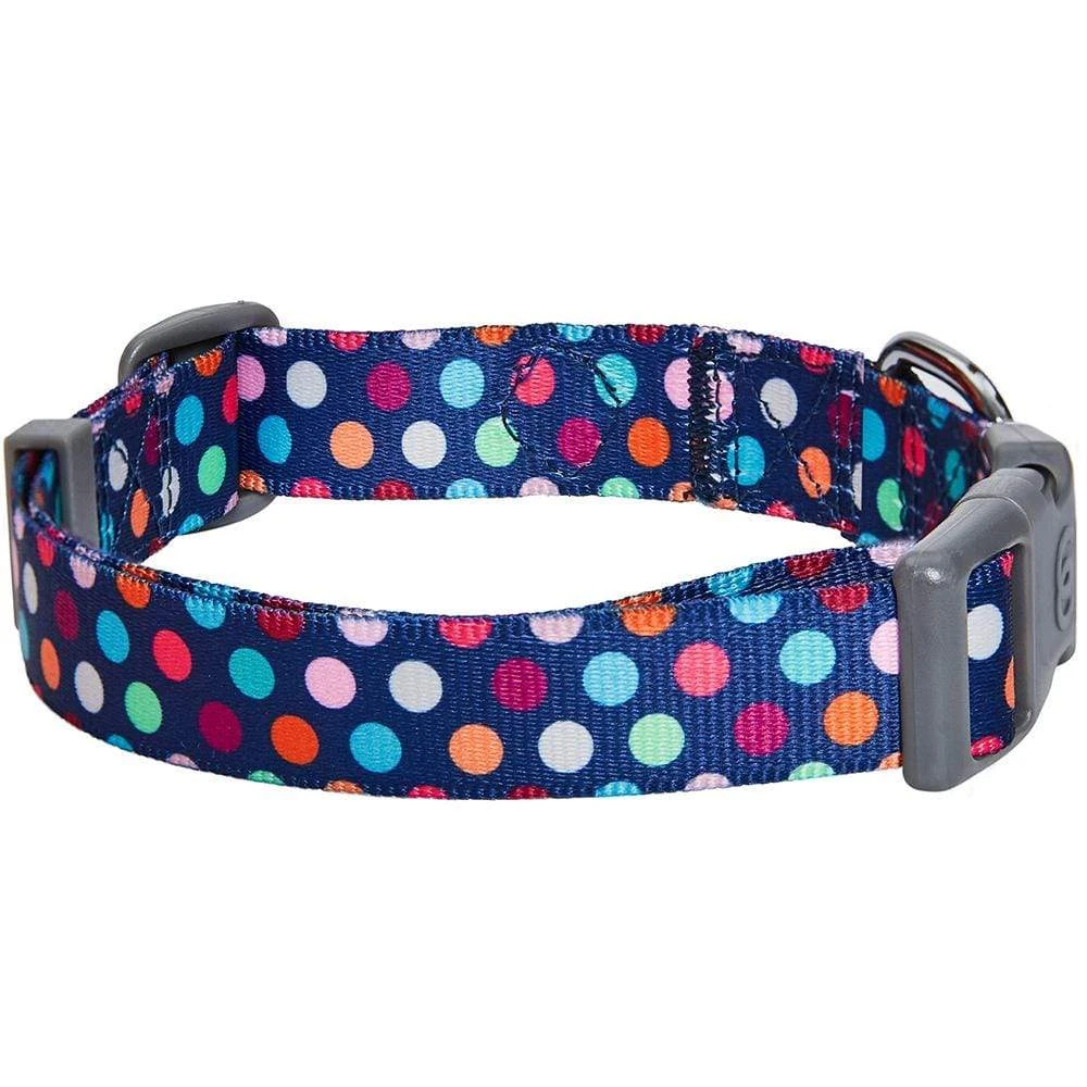 Rainbow Polka Dots Dog Collar For Stylish Pups 5 Rainbow Polka Dots Dog Collar For Stylish Pups - Image 5