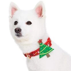 Christmas Dog Collar With Blingy Décor For Festive Style -Dog & Cat Store 1340254043 2 1 eedbdf1c 1058 428a bdc3 c1667048dbc8