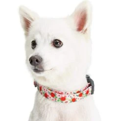 Spring Scent Inspired Garden Floral Dog Collar For Pets -Dog & Cat Store 1340258041 4