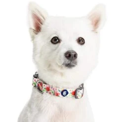 Spring Scent Inspired Garden Floral Dog Collar For Pets -Dog & Cat Store 1340258041 5