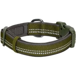 Reflective Hues Of Spring 3M Reflective Dog Collar -Dog & Cat Store 1340259048 2