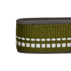Reflective Hues Of Spring 3M Reflective Dog Collar -Dog & Cat Store 1340259048 3