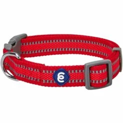 Back To Basics Reflective Dog Collar For Safety And Style 32 Back To Basics Reflective Dog Collar For Safety And Style -Dog & Cat Store 1340261041 1 1