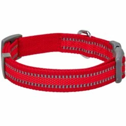 Back To Basics Reflective Dog Collar For Safety And Style 36 Back To Basics Reflective Dog Collar For Safety And Style -Dog & Cat Store 1340261041 2