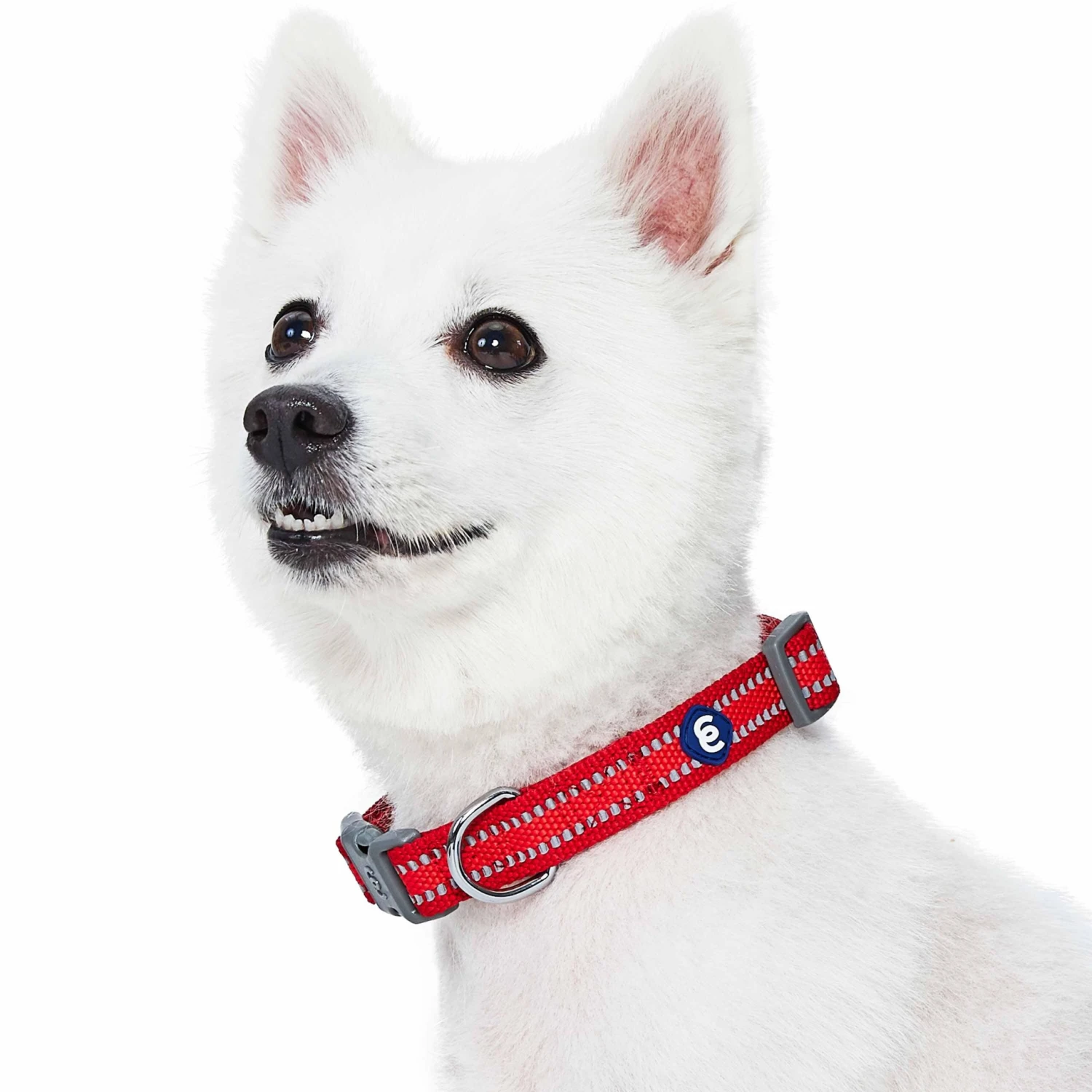 Back To Basics Reflective Dog Collar For Safety And Style 15 Back To Basics Reflective Dog Collar For Safety And Style - Image 15
