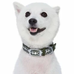 Jacquard Dog Collar With 3M Reflective Neoprene Padding 27 Jacquard Dog Collar With 3M Reflective Neoprene Padding -Dog & Cat Store 1340262048 4 78ef30ed 99bb 43ac ba29 1e4cdae0073f