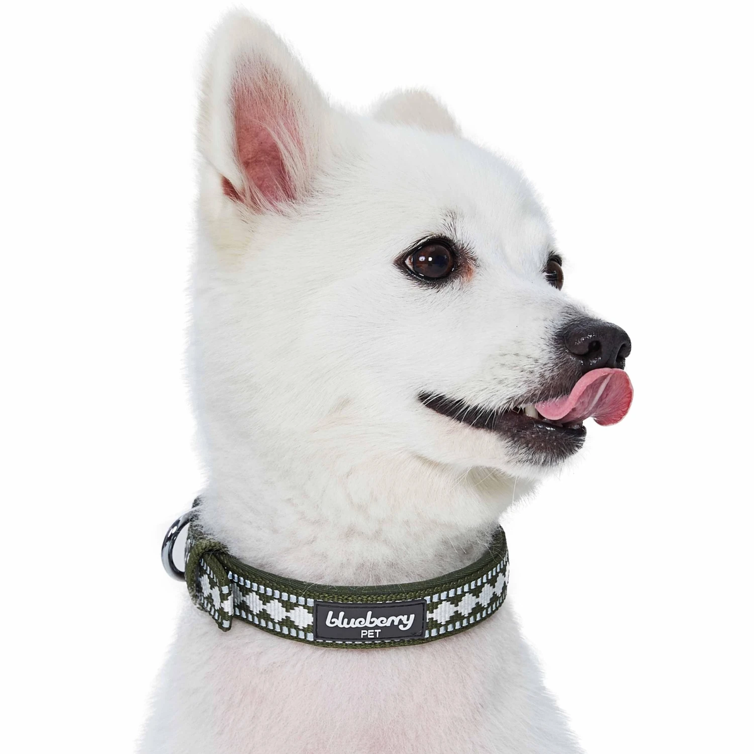 Jacquard Dog Collar With 3M Reflective Neoprene Padding 9 Jacquard Dog Collar With 3M Reflective Neoprene Padding - Image 9