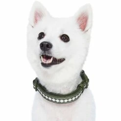 Jacquard Pattern Quick-Release Dog Collar With 3M Reflective Padding -Dog & Cat Store 1340265049 4