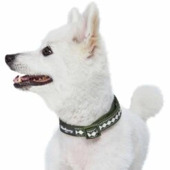 Jacquard Pattern Quick-Release Dog Collar With 3M Reflective Padding -Dog & Cat Store 1340265049 5