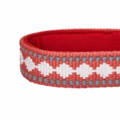 Jacquard Pattern Quick-Release Dog Collar With 3M Reflective Padding -Dog & Cat Store 1340266046 3