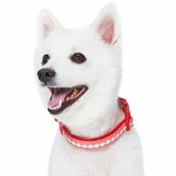 Jacquard Pattern Quick-Release Dog Collar With 3M Reflective Padding -Dog & Cat Store 1340266046 4