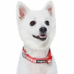 Jacquard Pattern Quick-Release Dog Collar With 3M Reflective Padding -Dog & Cat Store 1340266046 5