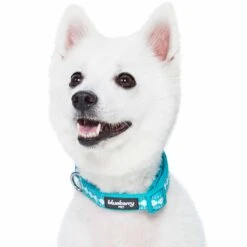 Jacquard Pattern Quick-Release Dog Collar With 3M Reflective Padding -Dog & Cat Store 1340267043 5