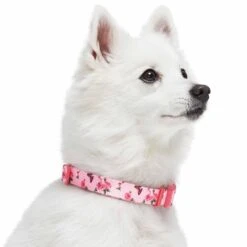 Petal Paws Floral Dog Collar In Polka Dot Design -Dog & Cat Store 1340278049 5