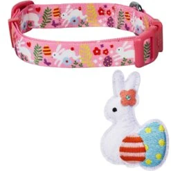 Easter Bunny And Egg Dog Collar For Spring Celebrations 20 Easter Bunny And Egg Dog Collar For Spring Celebrations -Dog & Cat Store 1340283043 2
