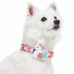 Easter Bunny And Egg Dog Collar For Spring Celebrations 18 Easter Bunny And Egg Dog Collar For Spring Celebrations -Dog & Cat Store 1340283043 4