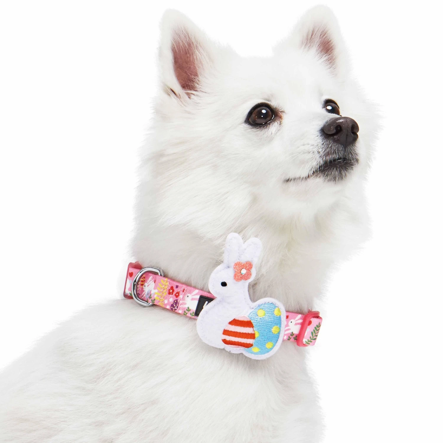 Easter Bunny And Egg Dog Collar For Spring Celebrations 8 Easter Bunny And Egg Dog Collar For Spring Celebrations - Image 8