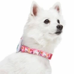 Easter Bunny And Egg Dog Collar For Spring Celebrations 19 Easter Bunny And Egg Dog Collar For Spring Celebrations -Dog & Cat Store 1340283043 5