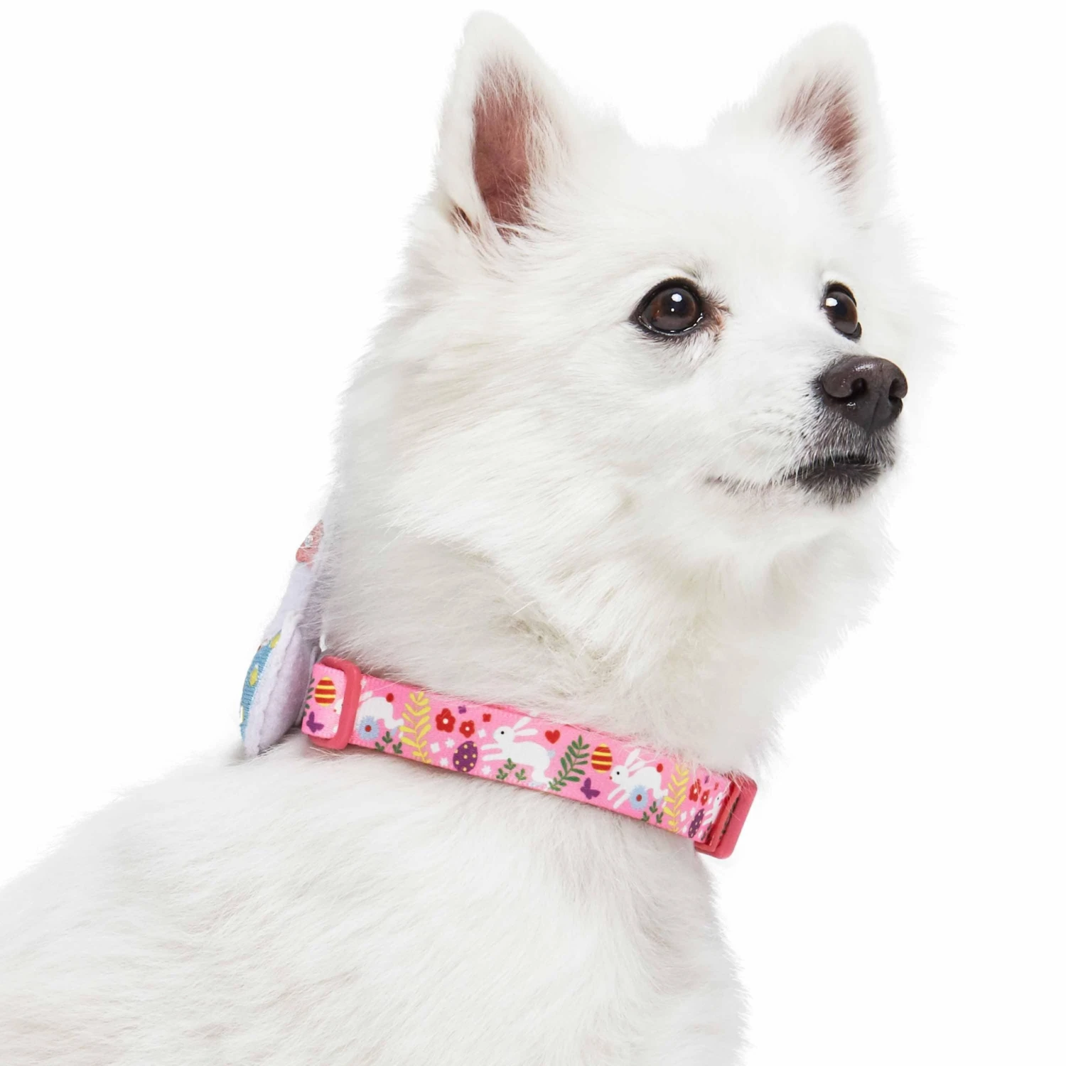 Easter Bunny And Egg Dog Collar For Spring Celebrations 9 Easter Bunny And Egg Dog Collar For Spring Celebrations - Image 9