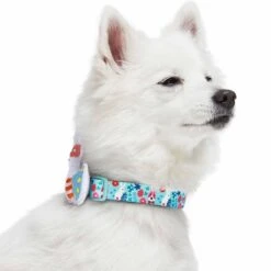 Easter Bunny And Egg Dog Collar For Spring Celebrations 14 Easter Bunny And Egg Dog Collar For Spring Celebrations -Dog & Cat Store 1340284040 5