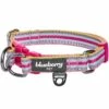 3M Reflective Dog Collar In Multi-colored Stripes For Safety -Dog & Cat Store 1340297040 1 1 49150dc2 1b89 4e9b a95b f515926be83c