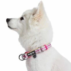 3M Reflective Dog Collar In Multi-colored Stripes For Safety -Dog & Cat Store 1340297040 3 e63ea050 19d9 48d8 b487 57eea8590db5