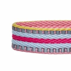 3M Reflective Dog Collar In Multi-colored Stripes For Safety -Dog & Cat Store 1340297040 5 aafba926 3598 4167 91ab 875b84fd07ff