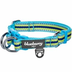 3M Reflective Dog Collar In Multi-colored Stripes For Safety -Dog & Cat Store 1340298047 1 1 3cbc6c84 4b90 42f3 8224 c0adbf164feb