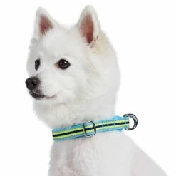 3M Reflective Dog Collar In Multi-colored Stripes For Safety -Dog & Cat Store 1340298047 2 3995758c 3549 4e90 9248 e90588c7f128