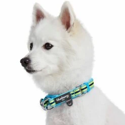 3M Reflective Dog Collar In Multi-colored Stripes For Safety -Dog & Cat Store 1340298047 3 7d86800a 01f0 4c14 86f5 d3a753543282