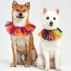 Halloween Thanksgiving Party Costume Dog Collar In Cool Tone -Dog & Cat Store 136