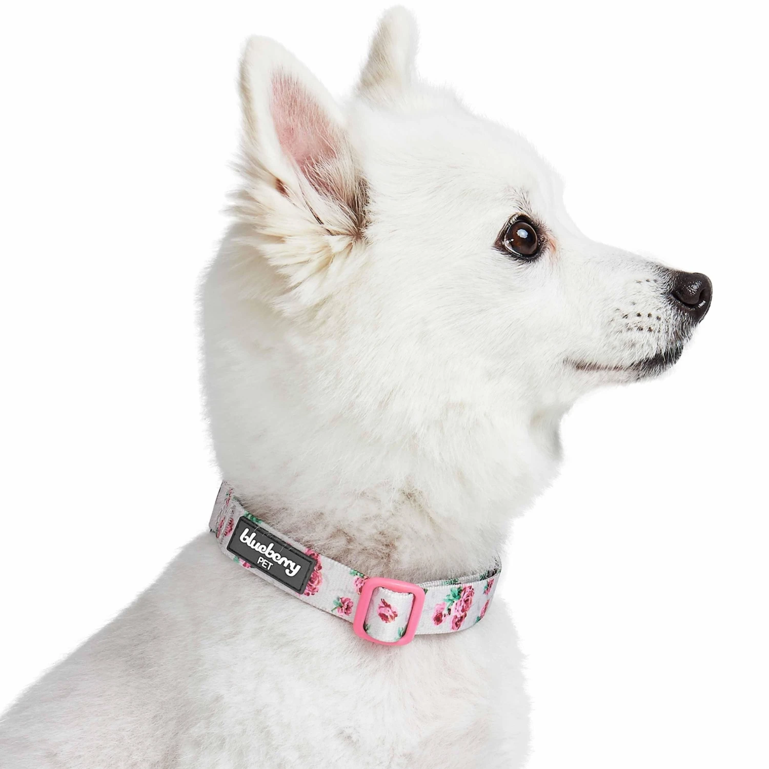 Cherry Blossom Dog Collar For Stylish Pet Adventures 3 Cherry Blossom Dog Collar For Stylish Pet Adventures - Image 3