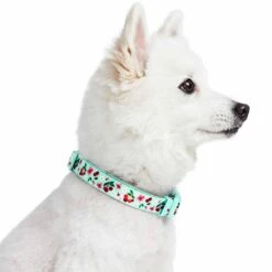 Cherry Blossom Dog Collar For Stylish Pet Adventures 26 Cherry Blossom Dog Collar For Stylish Pet Adventures -Dog & Cat Store 1440204047 2