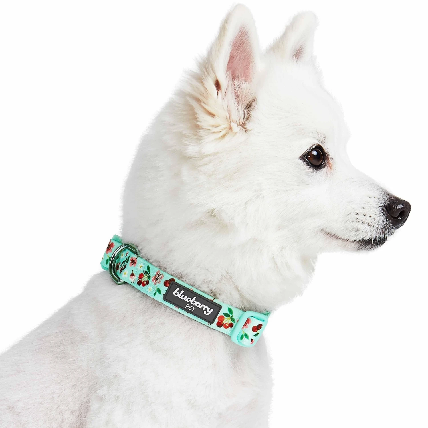 Cherry Blossom Dog Collar For Stylish Pet Adventures 8 Cherry Blossom Dog Collar For Stylish Pet Adventures - Image 8