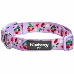 Cherry Blossom Dog Collar For Stylish Pet Adventures 30 Cherry Blossom Dog Collar For Stylish Pet Adventures -Dog & Cat Store 1440205044 1