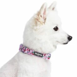 Cherry Blossom Dog Collar For Stylish Pet Adventures 32 Cherry Blossom Dog Collar For Stylish Pet Adventures -Dog & Cat Store 1440205044 3