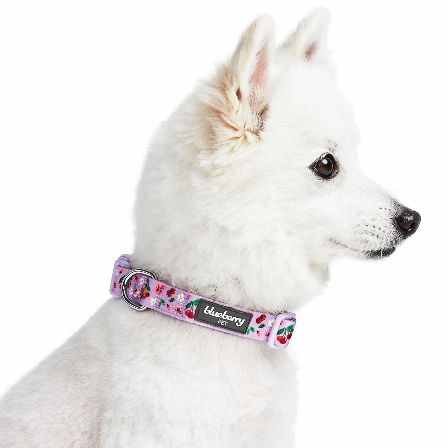 Cherry Blossom Dog Collar For Stylish Pet Adventures 13 Cherry Blossom Dog Collar For Stylish Pet Adventures - Image 13