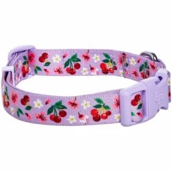 Cherry Blossom Dog Collar For Stylish Pet Adventures 33 Cherry Blossom Dog Collar For Stylish Pet Adventures -Dog & Cat Store 1440205044 4